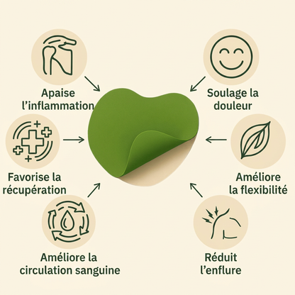 FlexAid - Patchs naturels contre la douleur